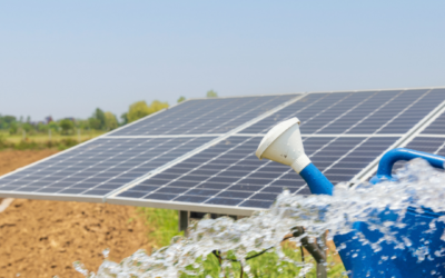 Solar Water Pumps: Revolutionizing Agriculture and Water Supply